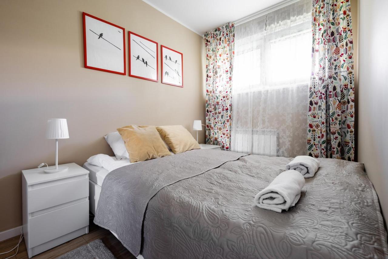 Apartament Renatek Centrum 扎科帕内 外观 照片
